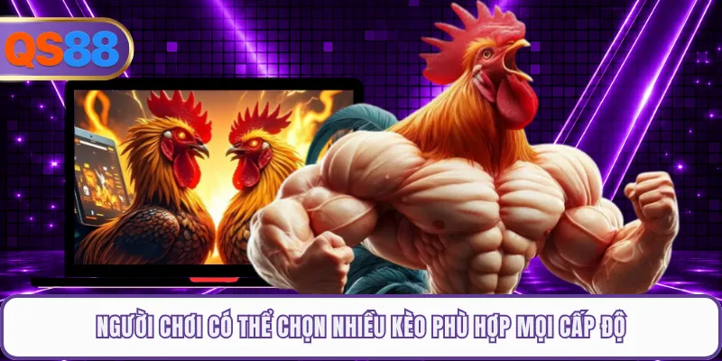 Người chơi có thể chọn nhiều kèo phù hợp mọi cấp độ